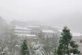 广西这些地方下雪了！你羡慕吗？图片
