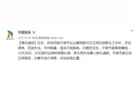 平度市云山镇党委书记王丽做群众工作时言语失当，被停职图片