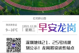 深圳地铁21、25号线规划公示！龙岗将设这些站点丨早安，龙岗图片