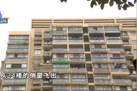 从天而降的猫：24楼飞出砸中车，现场验证找原因图片