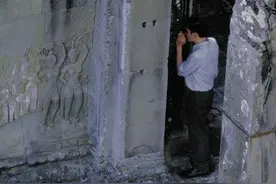 文件传输助手，社畜的秘密树洞图片