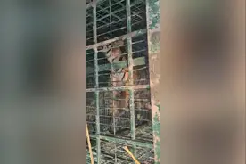 印度一只老虎在村庄附近游荡数天 村民一直能听到咆哮声图片