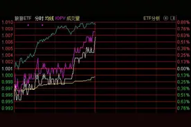 散户傻眼了！这个板块竟然一年都没涨，但基金却开始大手笔扫货，龙头股更是被券商集体高喊买入图片