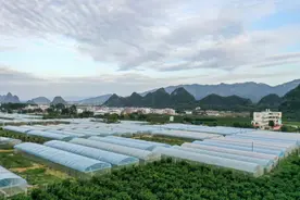 为什么要建生态农场？该怎么建？图片