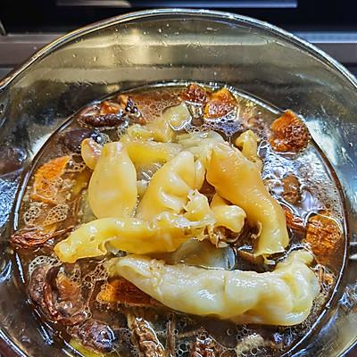 花胶干怎么做 2026年花胶干怎么吃