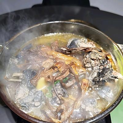 茶树菇花胶 2026年茶树菇花胶排骨汤 茶树菇花胶 2026年茶树菇花胶排骨汤