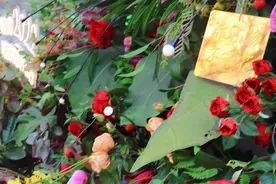 欢迎光临2022“花花世界”图片