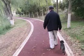 老人与狗的故事（小小说）图片