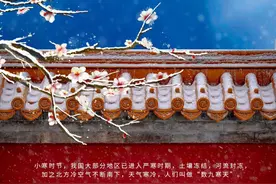 紧急通知！青岛人要吃羊了！图片