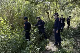 台湾一景区3具遗体吊挂在树上，含一对情侣！生前有官司纠纷图片