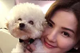 阿Sa「8个月痛失3爱犬」 送别15岁妹妹：你永远都是我的小baby图片