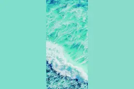 海洋：无与伦比的生命摇篮图片