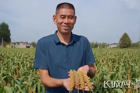 河北省拨付2022年中央财政种粮补贴11.06亿元4月2日前发放到位图片