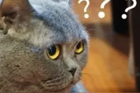 有期徒刑三年！女子为骗保竟自剁脚趾，还曾约人制造车祸……图片