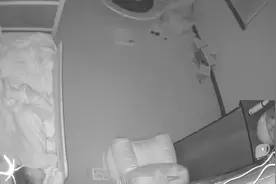 国外一妈妈查看监控时发现一只大蜘蛛爬向熟睡的女儿图片