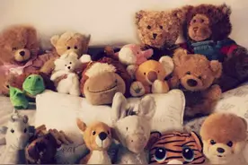 喜欢和毛绒玩具说话，我不是一个人吧？图片