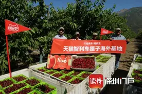 买买买！天猫年货节今晚8点开启，春节期间正常发货图片