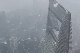 上海2022年的第一场雪来了！你看到了吗？图片