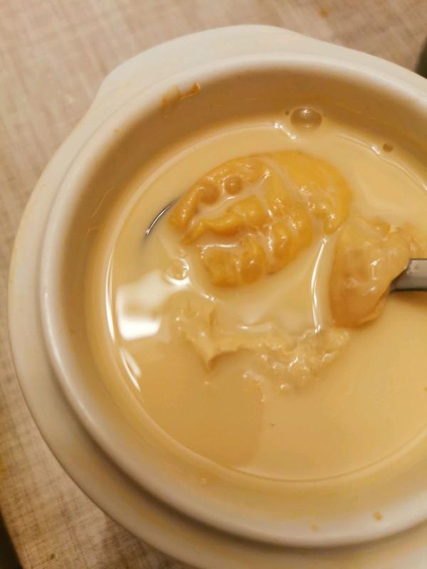 花胶炖牛奶怎样煮 2026年花胶炖牛奶怎么煮