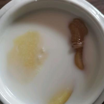 花胶炖牛奶的做法窍门 2026年花胶炖牛奶的做法窍门图片