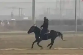 女儿放假回家，山东爸爸一路骑马迎接…网友评论酸了图片