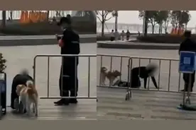 女子与狗同拴一根绳跪地爬行，知情人称与保安争执后行为过激，警方：已进行批评教育图片