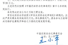 中超球员因打裁判被禁赛一年图片