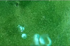 济南闹市中最安静的泉，最适合一个人去看图片