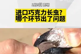 看吐了！昆明市民买回的进口巧克力竟有白虫在蠕动图片
