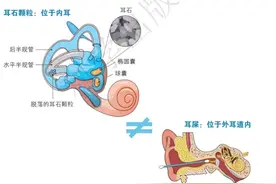 动一动就天旋地转，咋回事？带你认识“耳石症”图片
