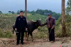 “牛，真牛！”群众价值万元的耕牛失踪，民警用无人机快速寻回图片