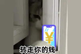 怀孕女子被分手，怒偷男友手机转出11万，却被网友骗走……图片