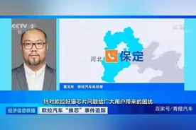 2021汽车红黑榜十大智能化黑榜：欧拉换芯、威马锁电……图片