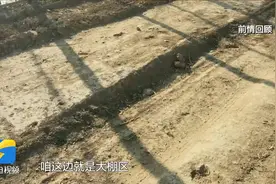 问政追踪丨致富路成了“堵心路”相关部门：已初步整改 开春后将进行全面硬化图片