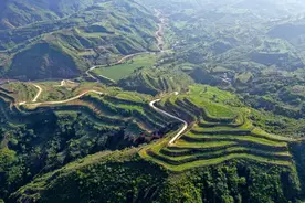 山西：3.37万名林长守护黄土高原青山绿水图片