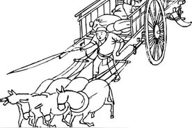 当代散文｜|家乡的骡子图片