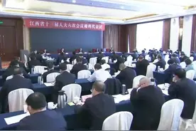 江西省人大代表、南康区委书记何善锦：融入粤港澳大湾区，加大对外开放图片