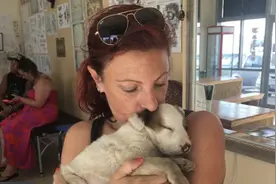 50岁英国女子汤加海啸时救狗被海浪卷走遇难！丈夫爬树获救图片