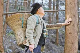 湖北十八里长峡国家级自然保护区护林员胡值朝——“这里的每一棵树我都有感情”（讲述·一辈子一件事）图片