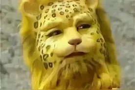 一夜之间，火了！全网集体换“豹头”图片