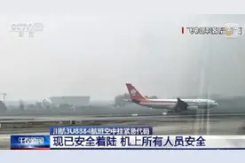 舆情速递丨川航航班空中挂紧急代码原因公布：出现单发失效故障图片