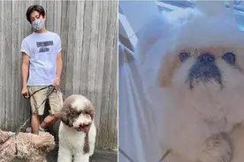 木村拓哉宣布噩耗「最爱家人」凌晨离世！爱妻曝动过10几次手术图片