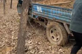 河南十小伙返乡过年组团自费修村路，网友：愿为其介绍女朋友图片