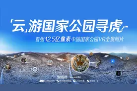 东北虎豹国家公园首次线上开园 推出可手机端120倍放大的VR全景照片图片