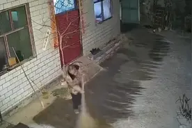 儿女将回家过年，父亲深夜在院中扫雪迎接视频封面