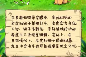 老虎能听到2000米外的声音……虎年有关老虎的这些冷知识，有必要讲给孩子听图片