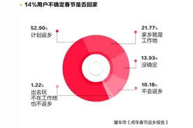 懂车帝发布虎年春节返乡报告：半数受访者计划回家图片