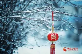 重要提醒！甘肃省客运班线暂停发班情况公布图片