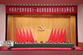 廉洁四川丨四川省第十一届纪律检查委员会第六次全会解读（下）图片