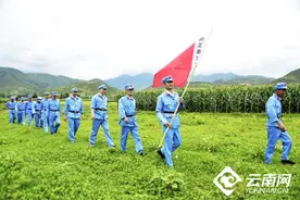 云南农信以高质量党史学习教育助推高质量发展图片